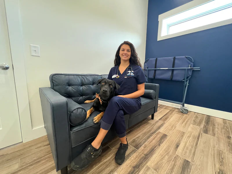 DR. Shalini Chakravarthi, DVM