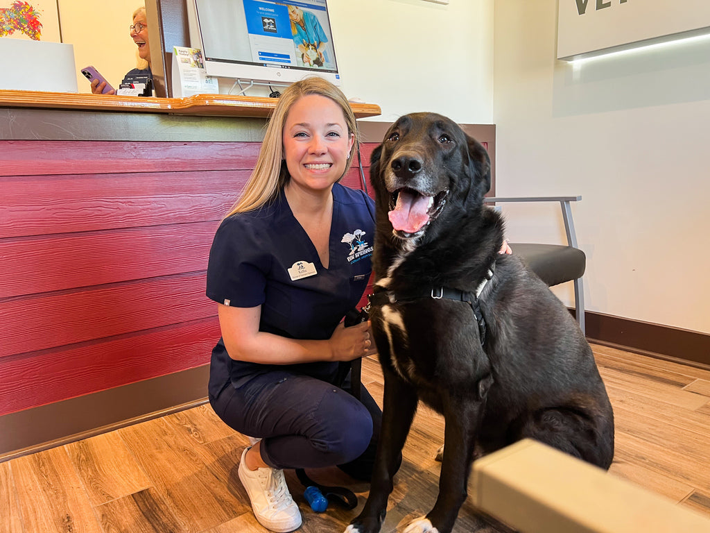 Doctor with Black Dog