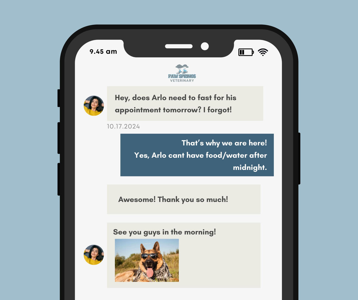 Phone screen displaying a veterinary app conversation with a user and a dog photo.