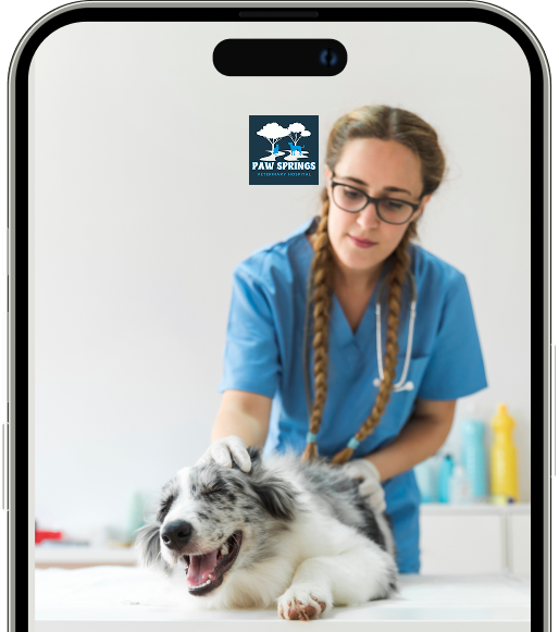 Enjoy convenient 24/7 booking right in the palm of your hands!